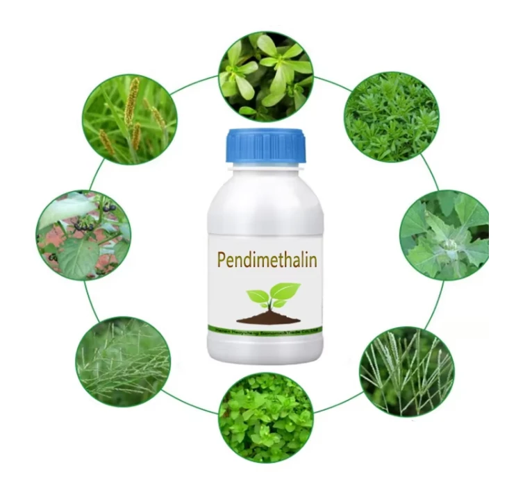 Pendimethalin